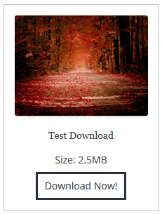 example-fancy2-download-display-with-file-size