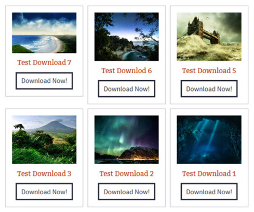 test-example-download-grid