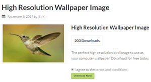 download-bird-image-simple-download-monitor