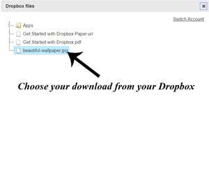 choosing-download-from-dropbox