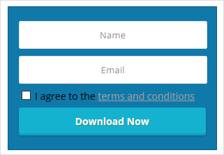 squeeze-form-with-terms-and-conditions-screenshot