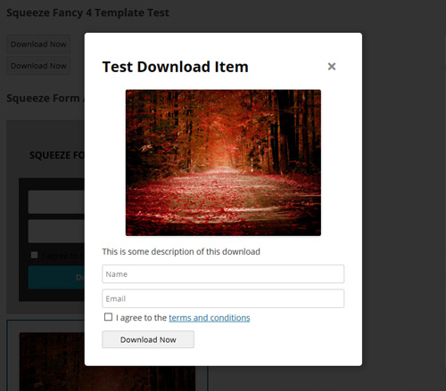 squeeze-form-fancy-template-4-example